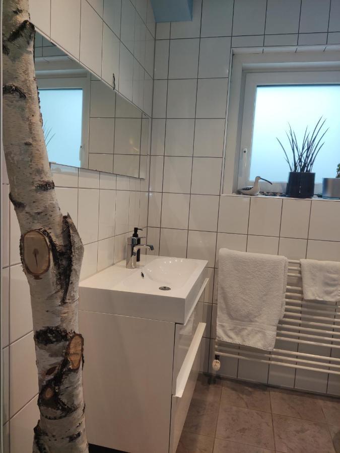 Zen Apartment - Spacious - Garden - Kitchen Karlsruhe Ngoại thất bức ảnh